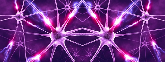 Purple Neurons