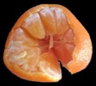 orange mandarin