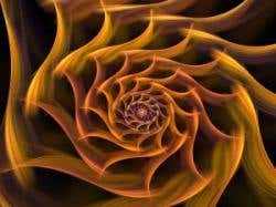 fractal trippy 19