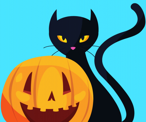 Cat with pumpkin Halloween