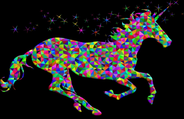 unicorn rainbow runner