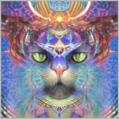 tumblr oob5wkHDkT1tybz3no1 500