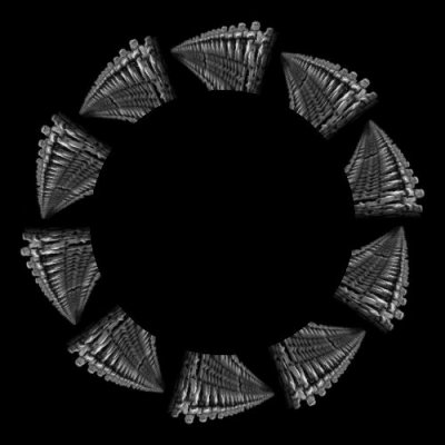 Clones round preview