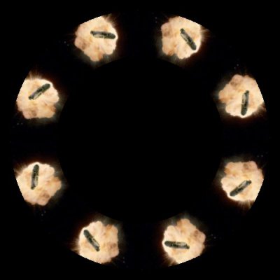 Death Star Exploding round preview