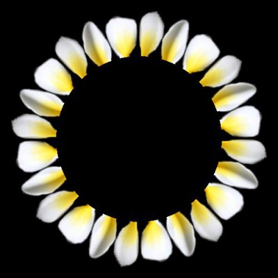 White Flower round preview