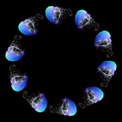 1406498515589727 136px round preview