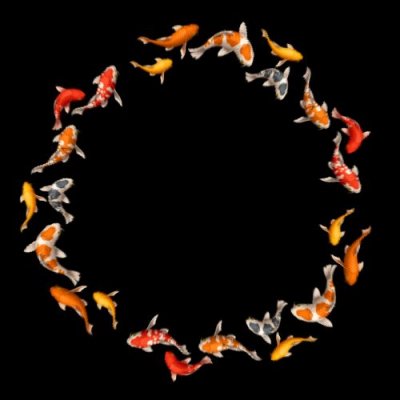 Nishiki GOI round preview