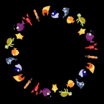 Tropical Sea Creatures round preview