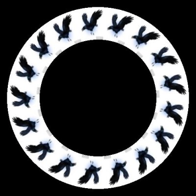 flying crow round preview