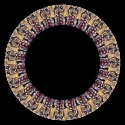 The Lion and the Mouse round preview