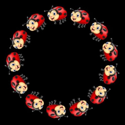 ladybug round preview