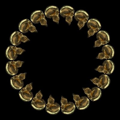 Golden skull round preview