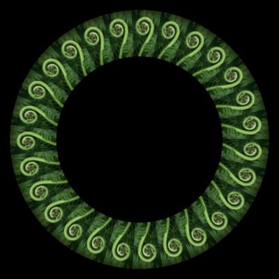 fiddle head round preview