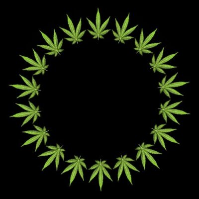 weed leaf 2 of 3 (back) round preview