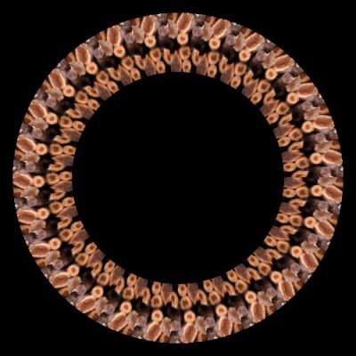 firewood 2 of 3 round preview