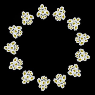 daisy arrow 2 of 2 round preview