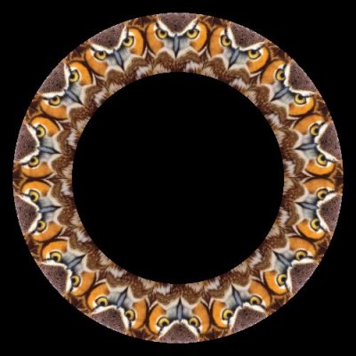 owl close up 2 round preview