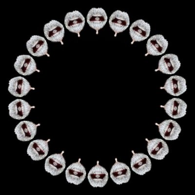 lips L round preview