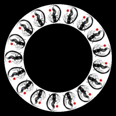 samourai round preview