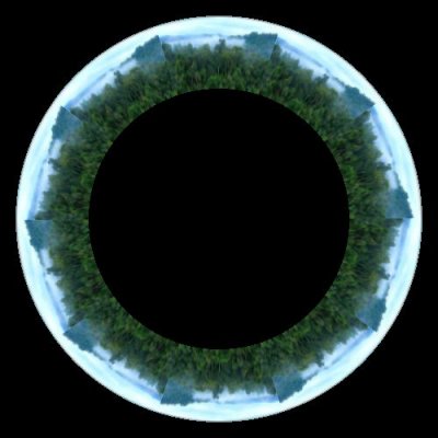 forest 10 round preview