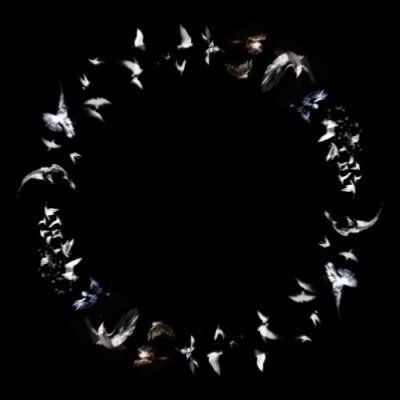 Flock of Birds round preview