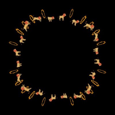 lion anim round preview