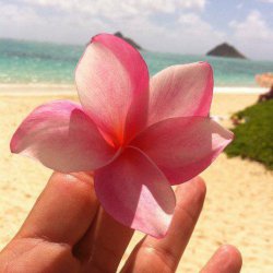 $featuredAuthor->name