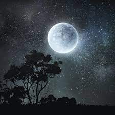moon in the night