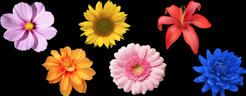 Flower Power