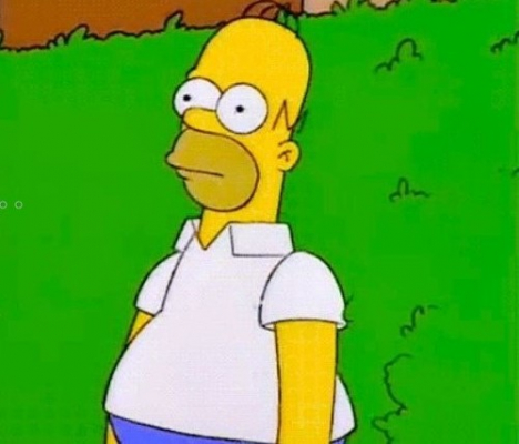 Homer  bush animation 2 of 6