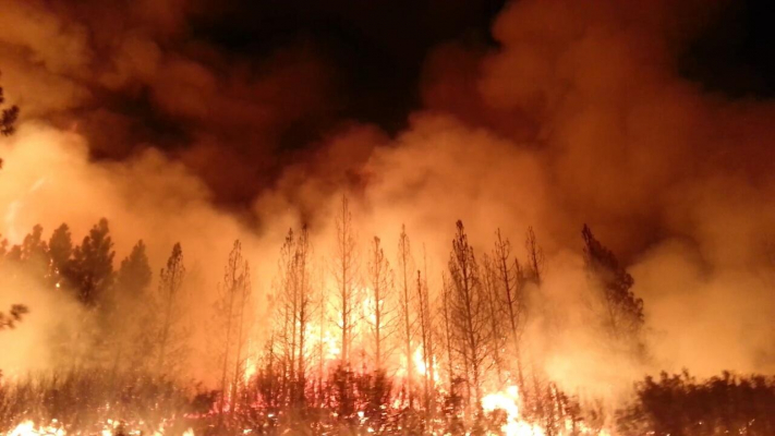 The Rim Fire in the Stanislaus National Forest near in California