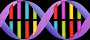 DNA
