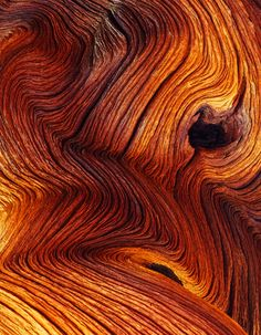 wood grain 4 of 3