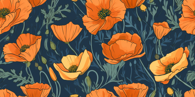Vibrant California poppies