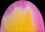 Pink Flower Petal