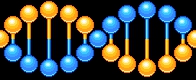 DNA