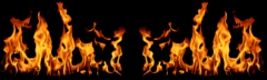 realfire