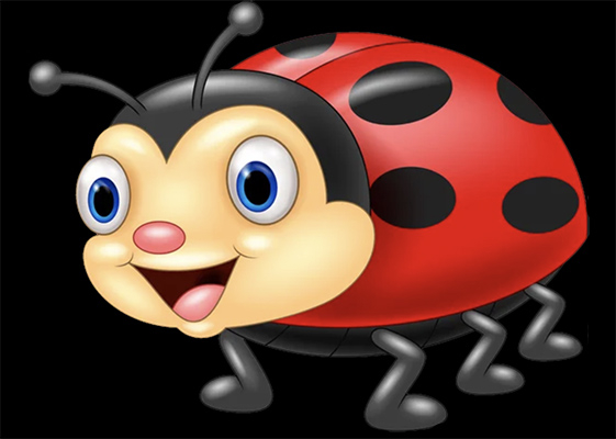 ladybug