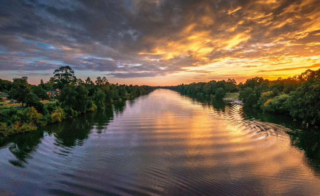 nepean river  gilded small