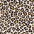 Cheetah Pattern