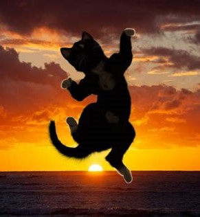 shoryuken kitty