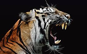 Tiger 2