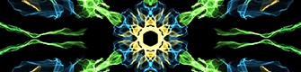 flower flash