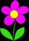 Purple Daisies