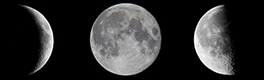 Moon all phases