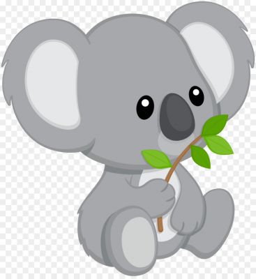 koala