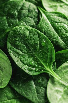 spinach