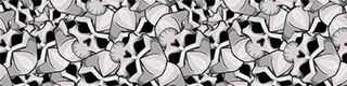 bnw skull pile