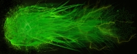 Plasma Ball