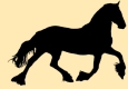 cheval ombre chinoise
